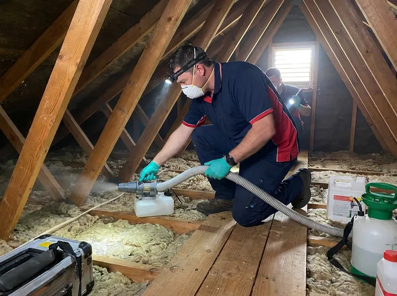 Attic Pest Decontamination and Sanitization in Corpus Christi, TX